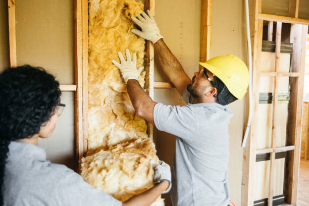 Best Batt and Roll Insulation  in Byrnes Mill, MO